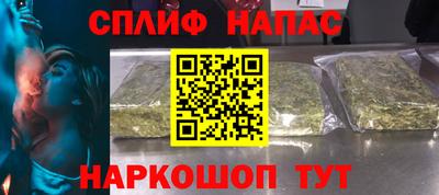 гидра Кингисепп