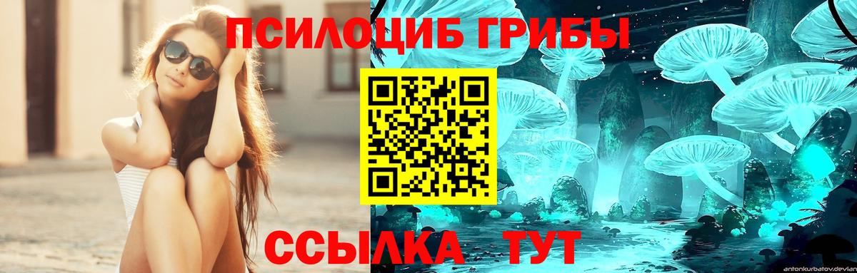Красноуфимск  Псилоцибиновые грибы Psilocybe  Вход с VPN 